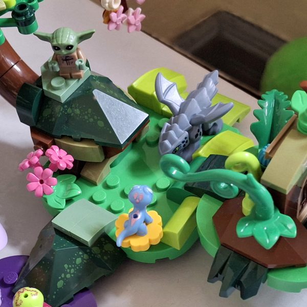 Bruni’s Forest and Mushroom Nursery